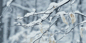 2018���һ��(ch��ng)ѩ�����Լs�˿��{(di��o)�Ĝ�ܰ��ʾ